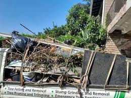 Best Basement Cleanout  in Al Creek, CO